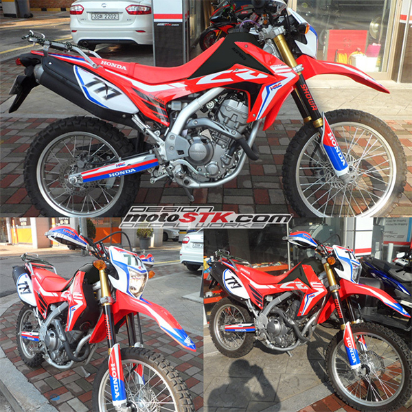 Daisy on the Ohoopee